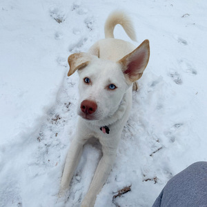 Fundraising Page: Hannah Overby